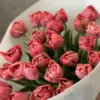 Букет з 25 піоноподібних тюльпанів “Adore”