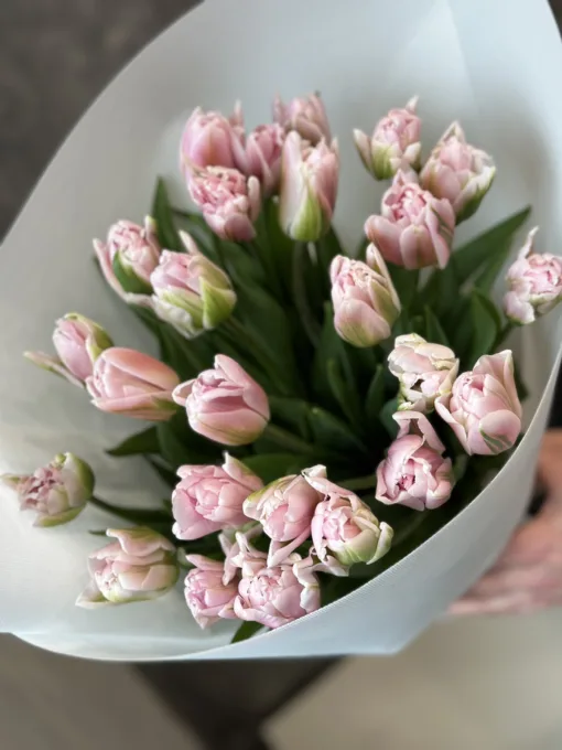 Букет з 25 піоноподібних тюльпанів “Gabriella”