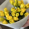 Букет з 25 піоноподібних тюльпанів “Marie Jo”