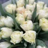 Букет з 25 піоноподібних тюльпанів “Piste”