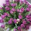 Букет з 35 піоноподібних тюльпанів “Castella”