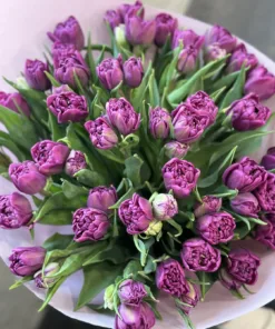 Букет з 35 піоноподібних тюльпанів “Castella”