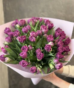 Букет з 35 піоноподібних тюльпанів “Castella”