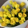 Букет з 35 піоноподібних тюльпанів “Marie Jo”
