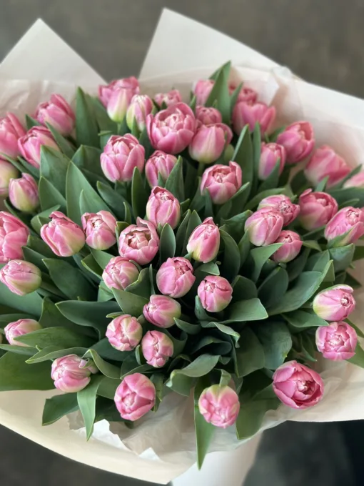 Букет з 51 піоноподібних тюльпанів “Vogue”