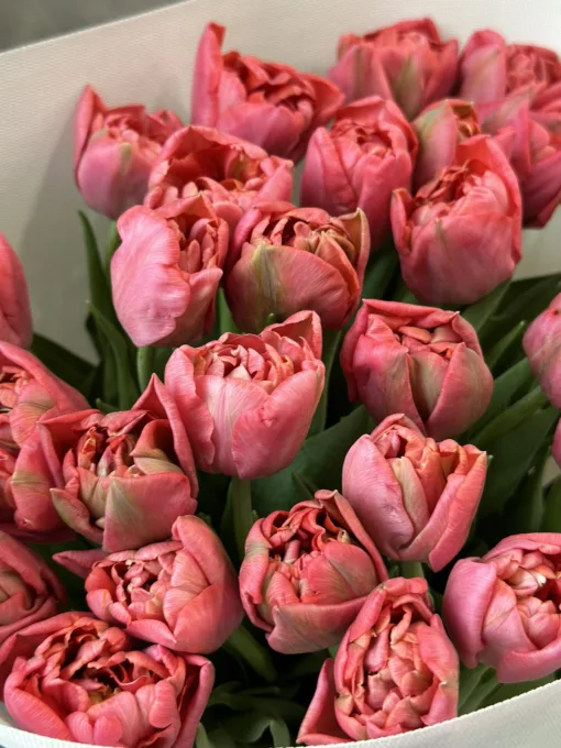 Букет з піоноподібних тюльпанів “Adore”