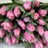 Букет з 35 рожевих тюльпанів