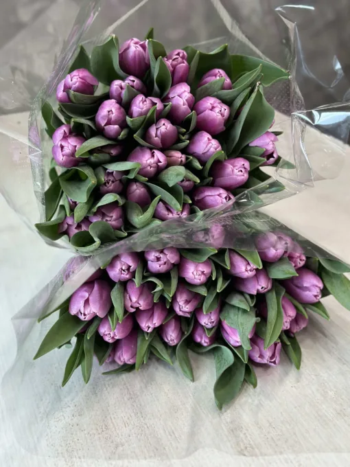 Букет з 15 або 25 бузкових тюльпанів