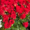Букет з 51 червоних троянд 