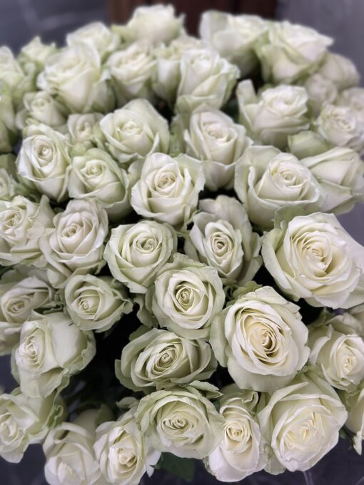 Букет з 51 білих троянд "Noelle"
