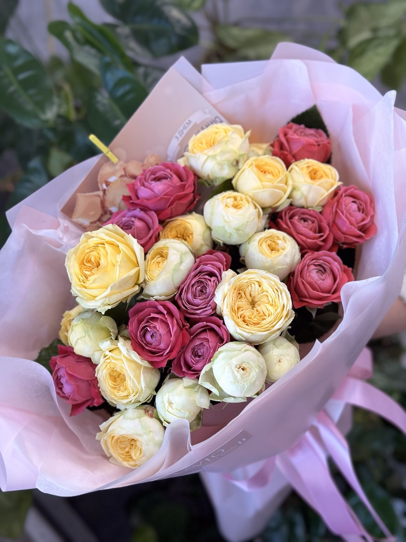 Мікс з 17 піоноподібних троянд