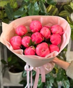 Букет з 11 Півоній "Coral Charm”