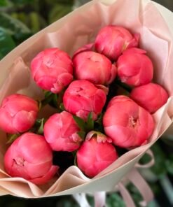 Букет з 11 Півоній "Coral Charm”