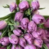 Букет з 15 або 25 або 35 піонопобіних тюльпанів 