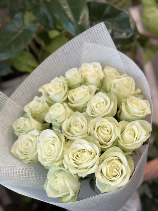 Букет з 19 білих троянд "Noelle"