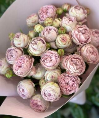 Букет з 7 гілок кущових троянд "Blossom Bubbles"