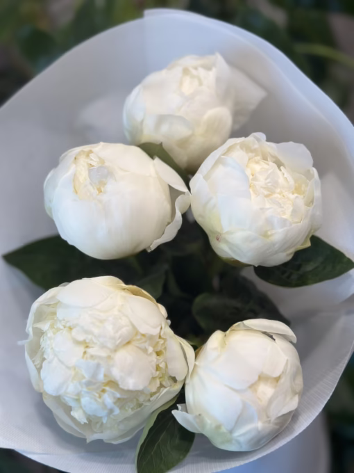 Букет з 5 білих півоній "Bridal Shower"
