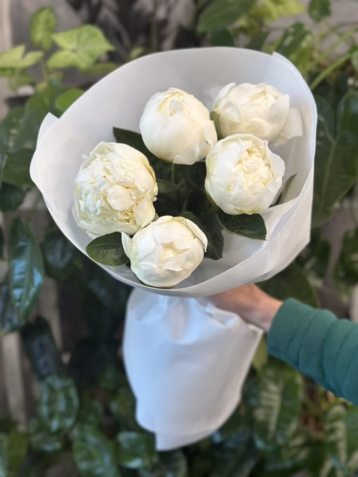 Букет з 5 білих півоній "Bridal Shower"