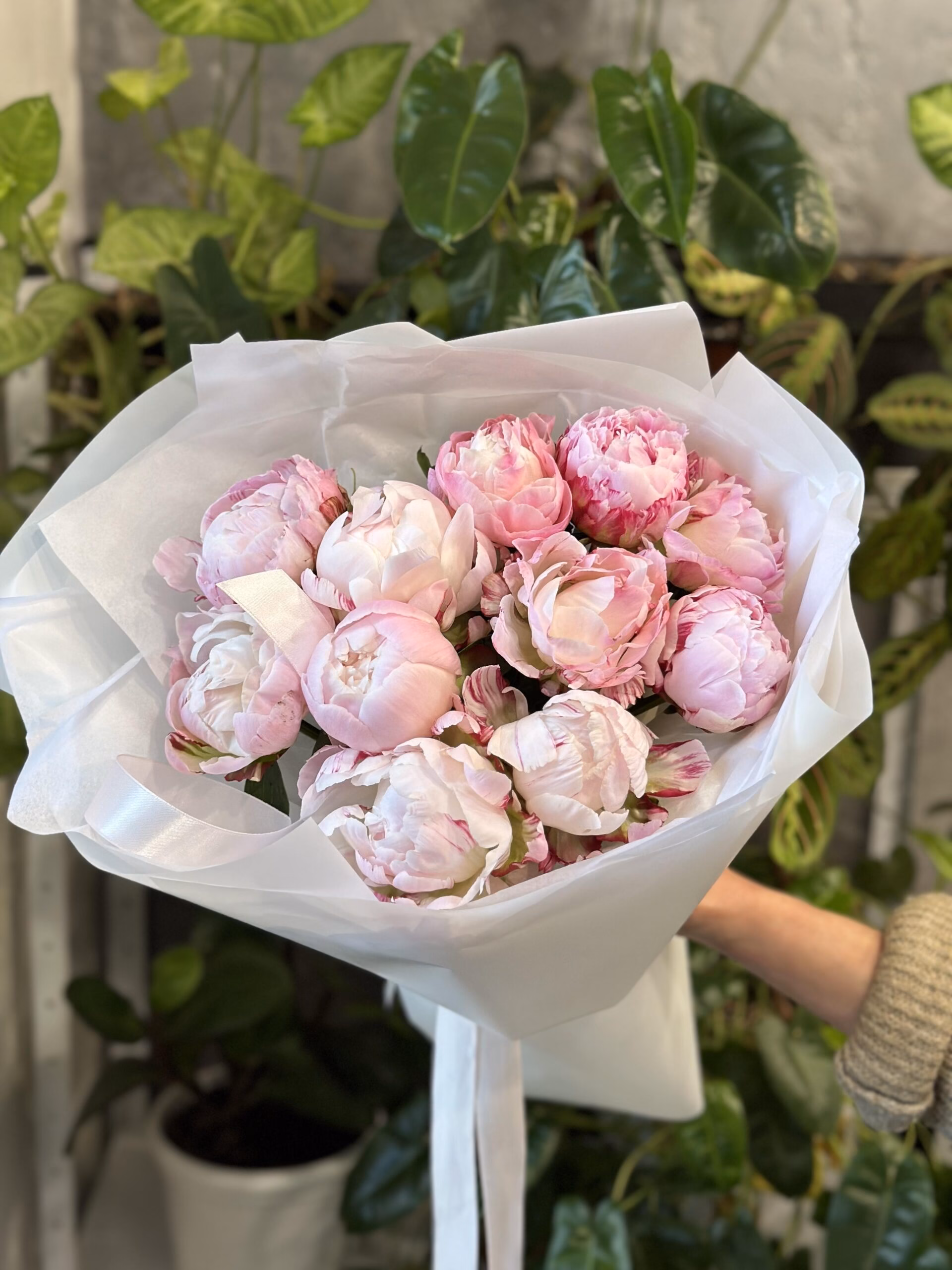 Букет з 9, 15 або 25 півоній "Marguerite Gerard"