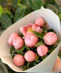 Букет з 9, 15 або 25 півоній "Salmon Saucer"