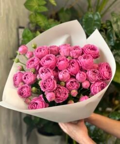 Букет з 7 гілок піоноподібних троянд "Misty Bubbles"