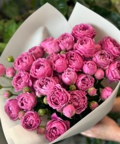 Букет з 7 гілок піоноподібних троянд "Misty Bubbles"