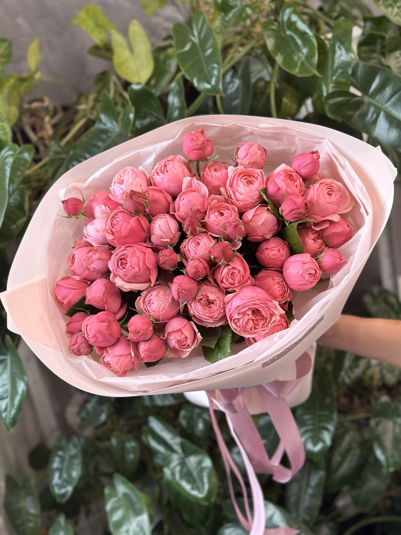 Букет з 15 гілок піоноподібних троянд "Silva Pink"