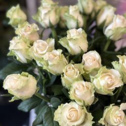 Букет з 15 або 25 рожевих троянд "Лаперла" 50 см