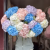 Букет з 15 гілок Гортензій "Love balloon"