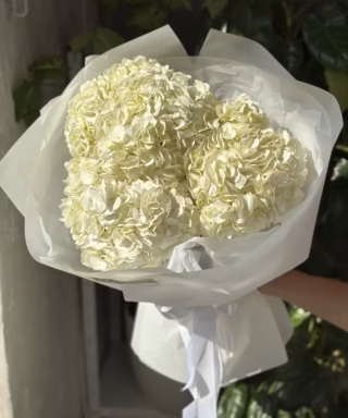 Букет з 3 гілок Гортензій "White"