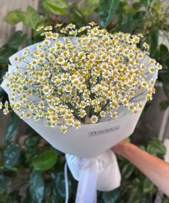 Букет з 15 гілок Польових Ромашок