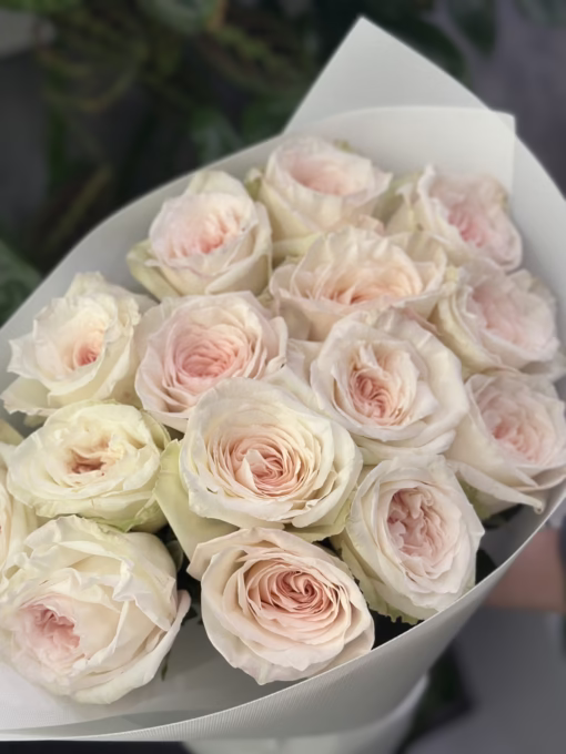 “Parfume” Букет з 15 піоноподібних троянд "O'Hara"