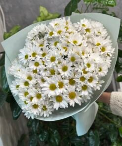 Букет з 15 гілок Хризантем Ромашок