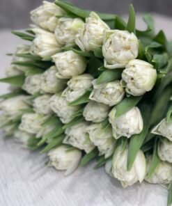 Букет з 25 білих піоноподібних тюльпанів “The Edge”