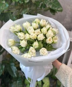 Букет з 25 білих піоноподібних тюльпанів “The Edge”