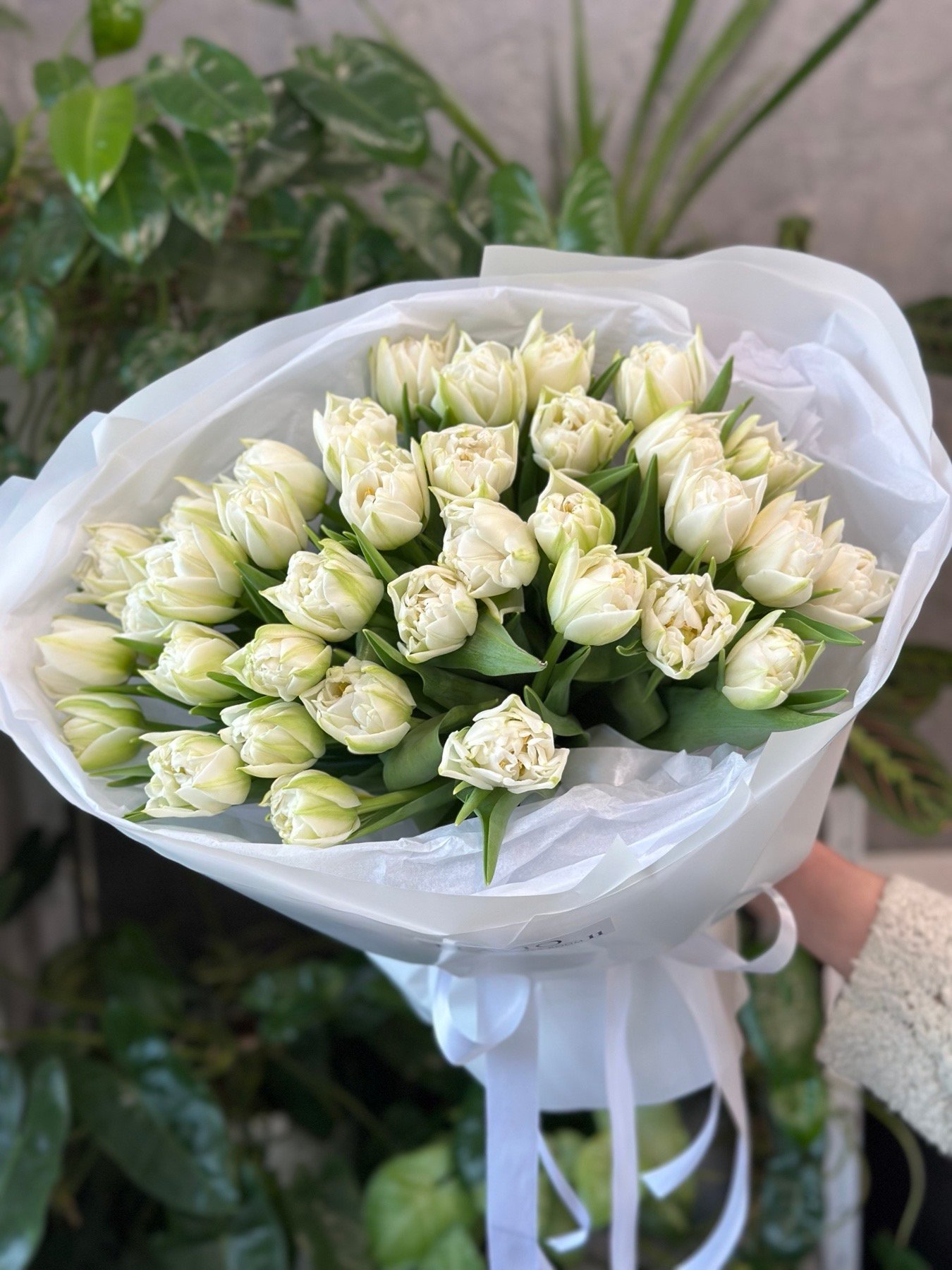 Букет з 35 або 45 білих піоноподібних тюльпанів “The Edge”