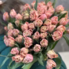 Букет 35 або 51 піоноподібний тюльпан Pink Magic