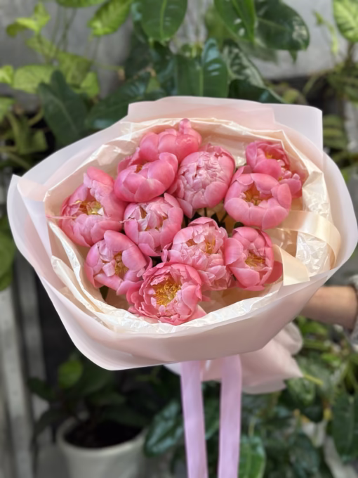 Букет з 11 Півоній "Coral Charm”