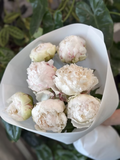 Букет з 7 півоній "Bowl of Cream"