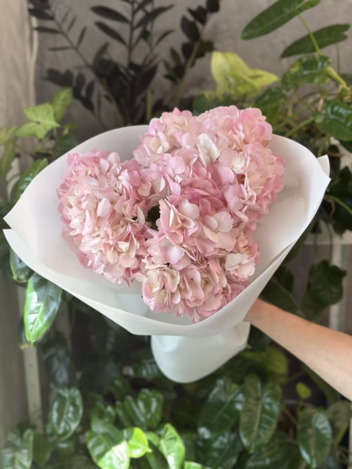 Букет з 3 гілок Гортензій "I Love Pink"