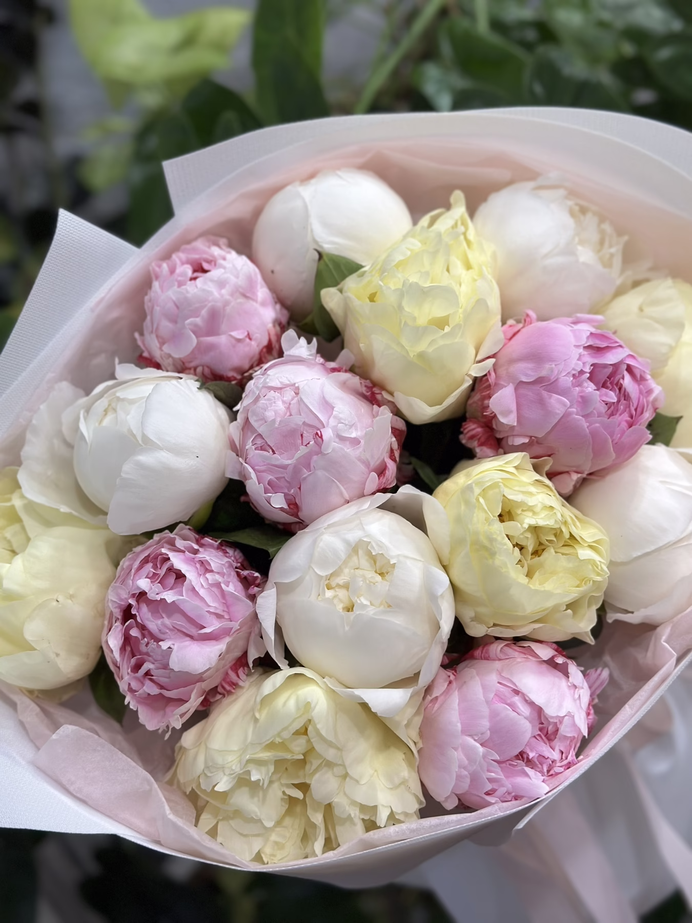 Букет з 15 півоній Мікс "Pastel"