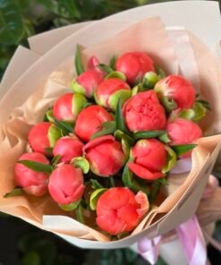 Букет з 15 Півоній "Coral Charm”