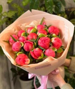 Букет з 15 Півоній "Coral Charm”