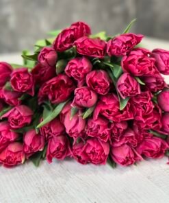 Букет з 15 малинових піоноподібних тюльпанів