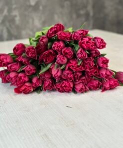 Букет з 45 малинових піоноподібних тюльпанів