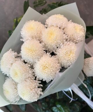 Букет з 11 Білих Хризантем "Mila"