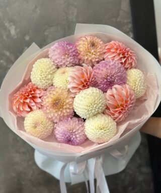 Букет з 15 Жоржин Pastel