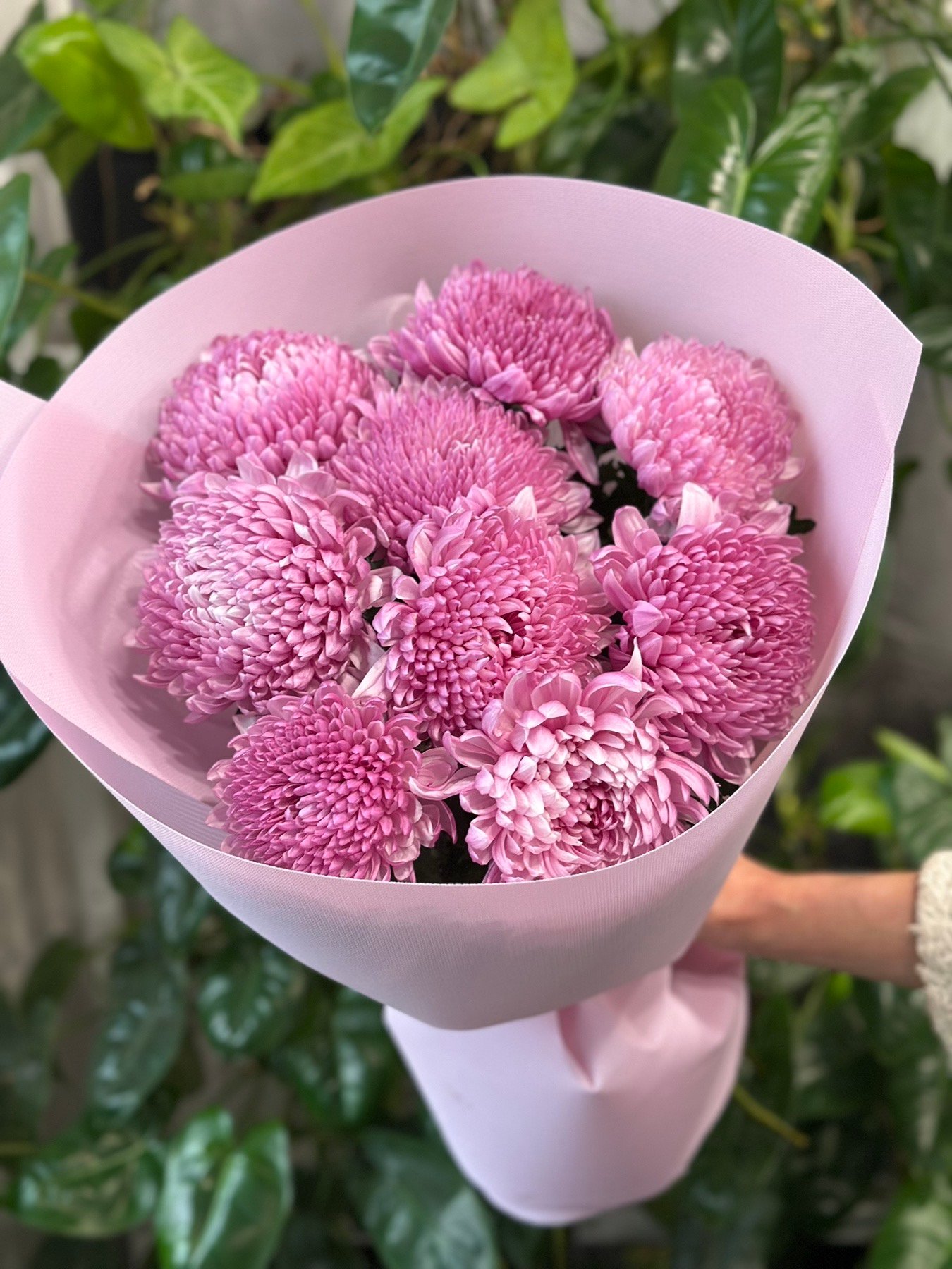 Букет з 9 або 15 Рожевих Хризантем