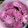 Букет з 9 або 15 Рожевих Хризантем
