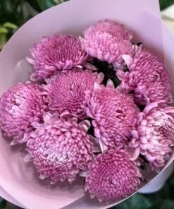 Букет з 9 або 15 Рожевих Хризантем